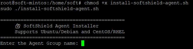 Grant execute permission and run installation