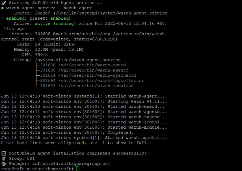 Linux Agent Status